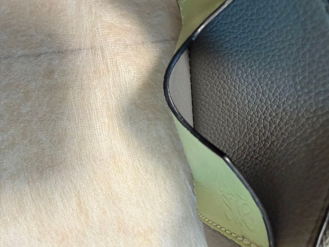 LOEWE カードホルダー　パールグレー／ライトペールグリーン
