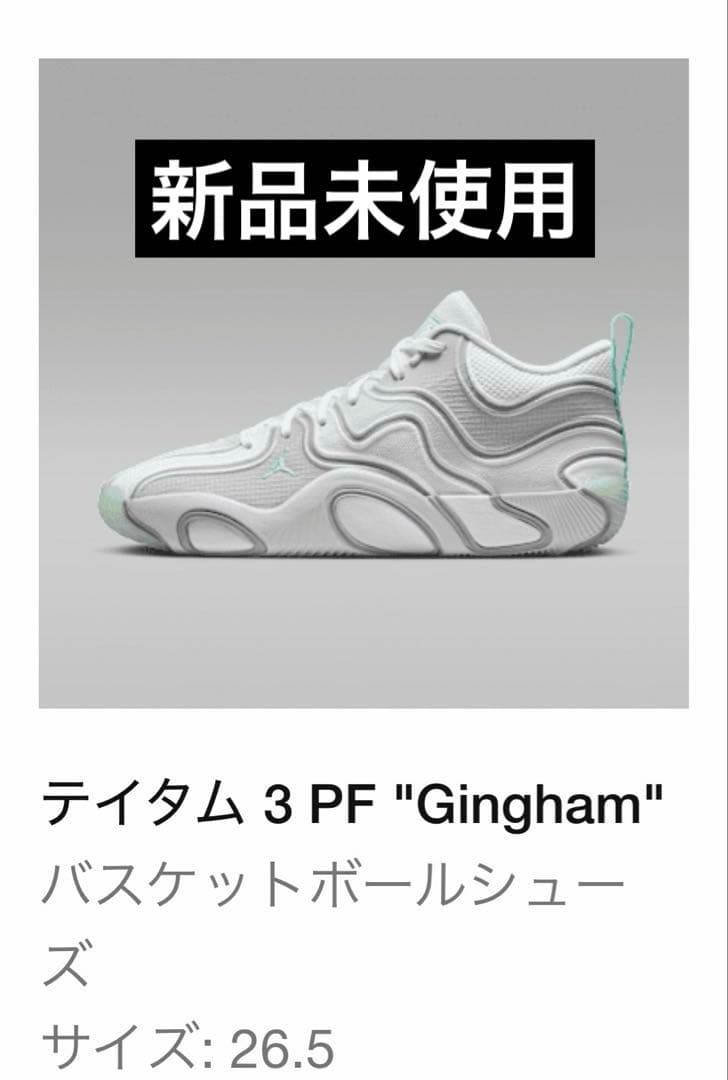 【新品未使用】 ジョーダン テイタム 3 PF \
