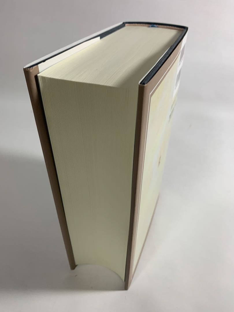 逐条解説建築基準法