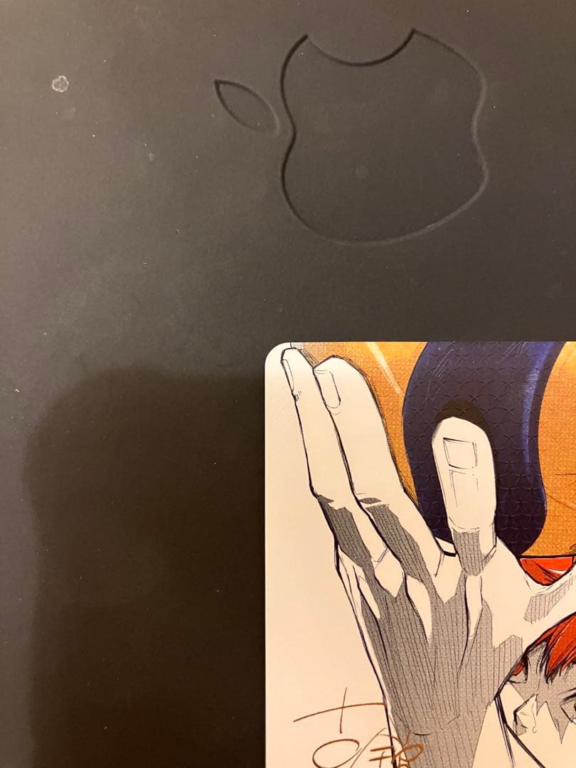 ハイキュー!! 日向翔陽 トレーディングカード バボカ　サイン入り