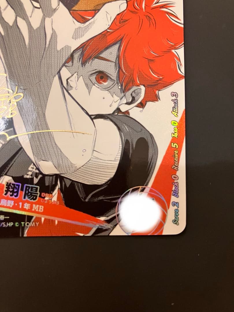 ハイキュー!! 日向翔陽 トレーディングカード バボカ　サイン入り