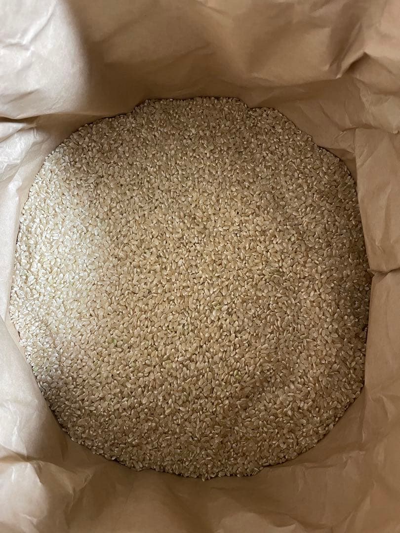 千葉県産　コシヒカリ　玄米　30キロ　令和7年