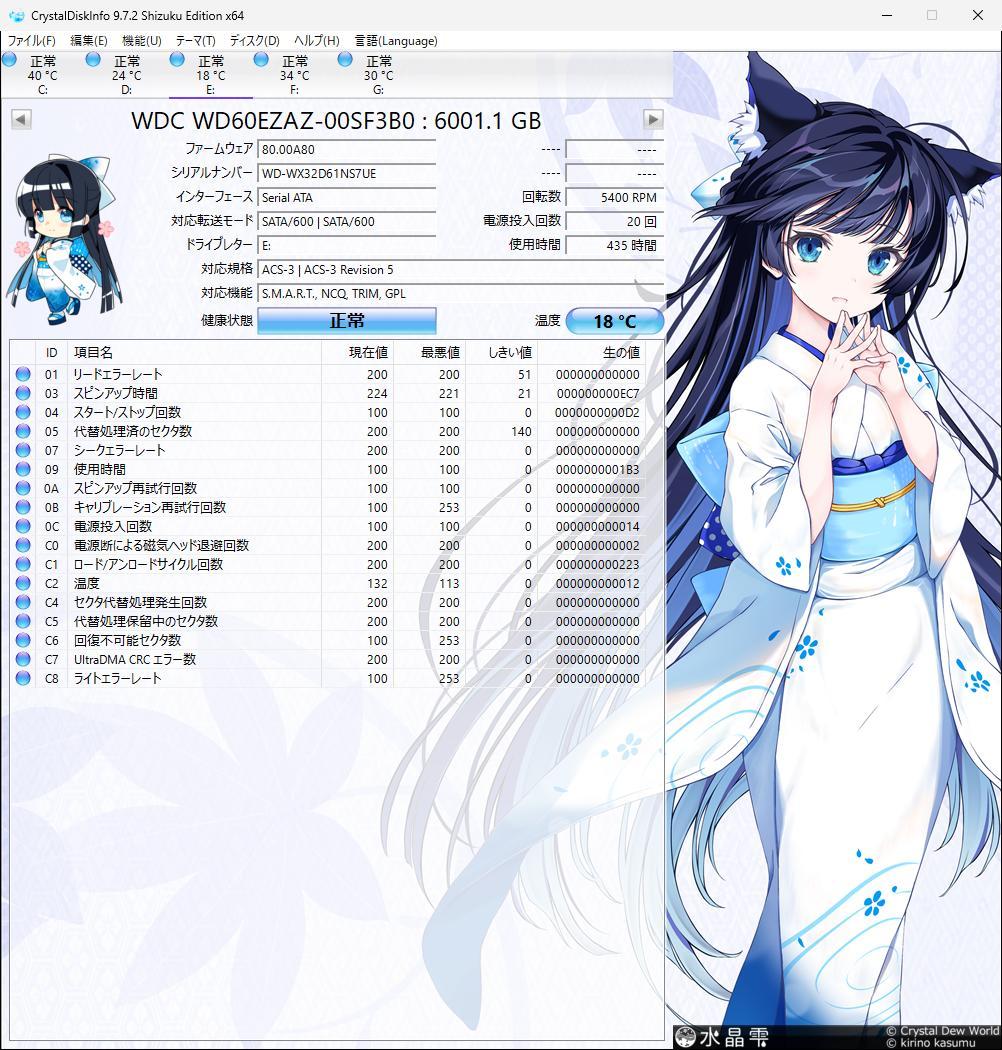 WD Blue 6TB 内蔵型ハードディスクドライブ (D)