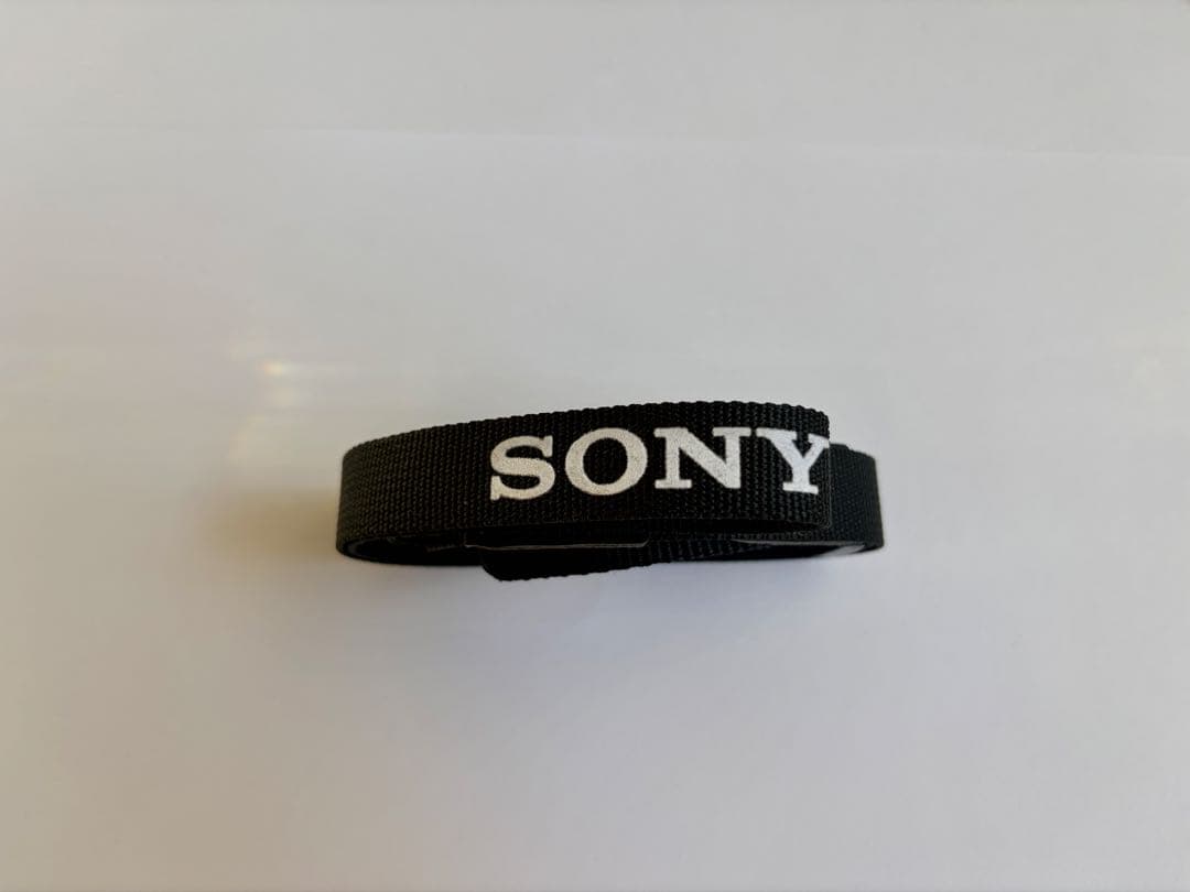 【美品】SONY ZV-E10 II パワーズームレンズキット｜SDカード付