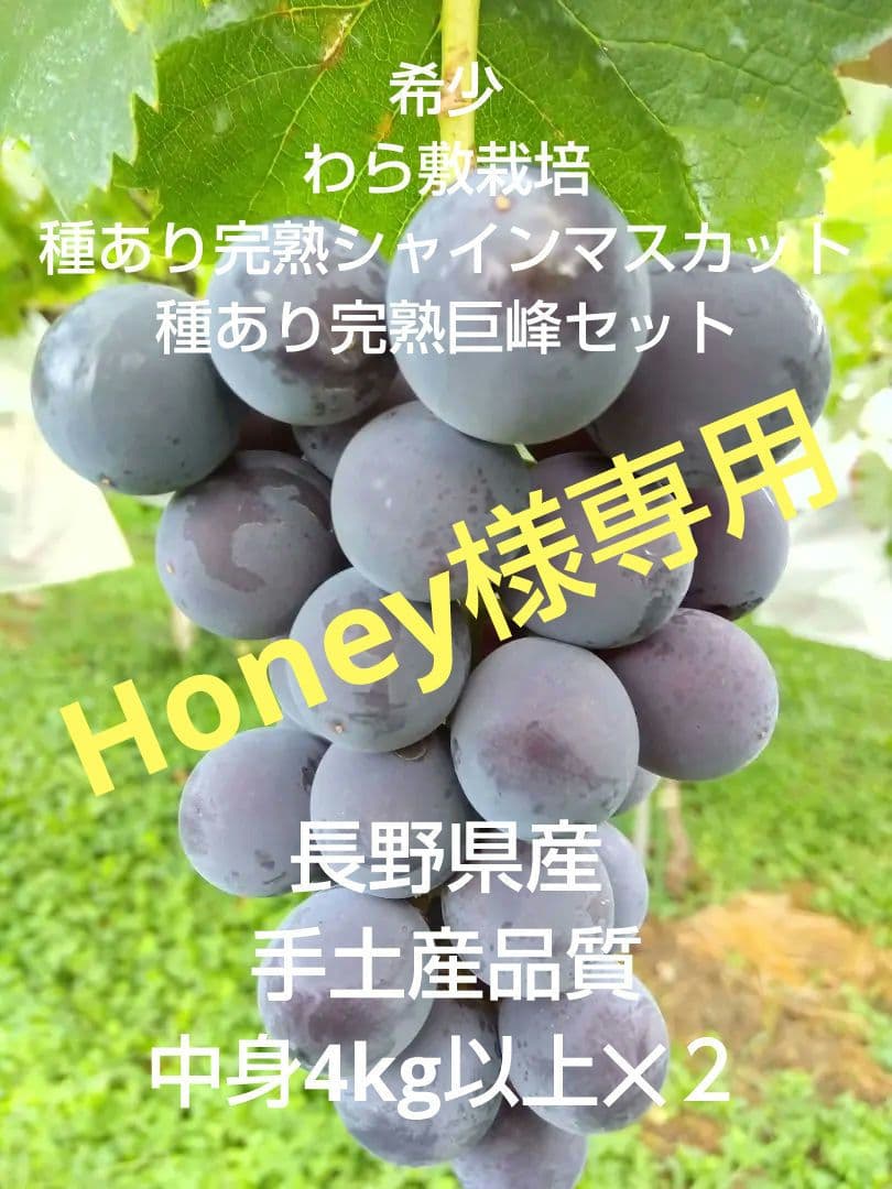 Honey希少わら敷種あり完熟巨峰とシャイン 長野県産４Kg✕２
