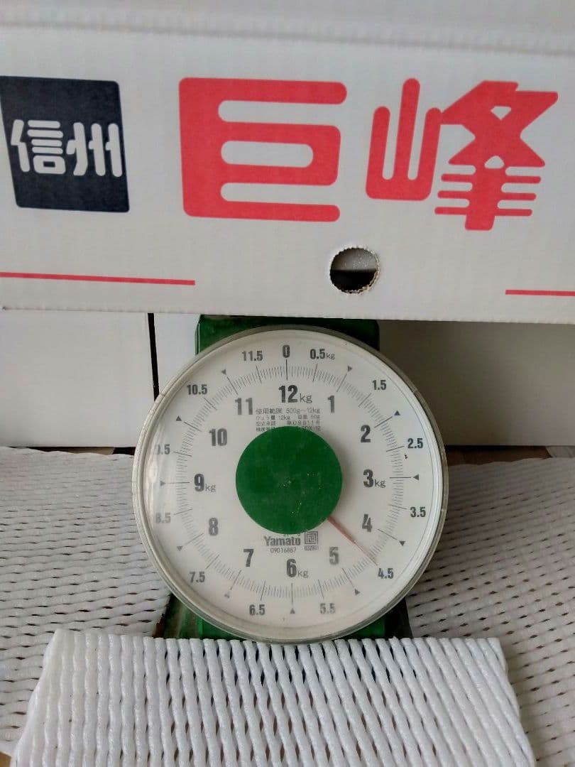 Honey希少わら敷種あり完熟巨峰とシャイン 長野県産４Kg✕２