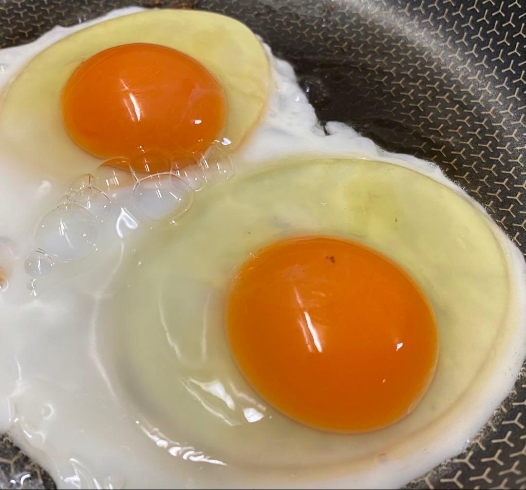 平飼い鶏卵 160個入り 大分県産