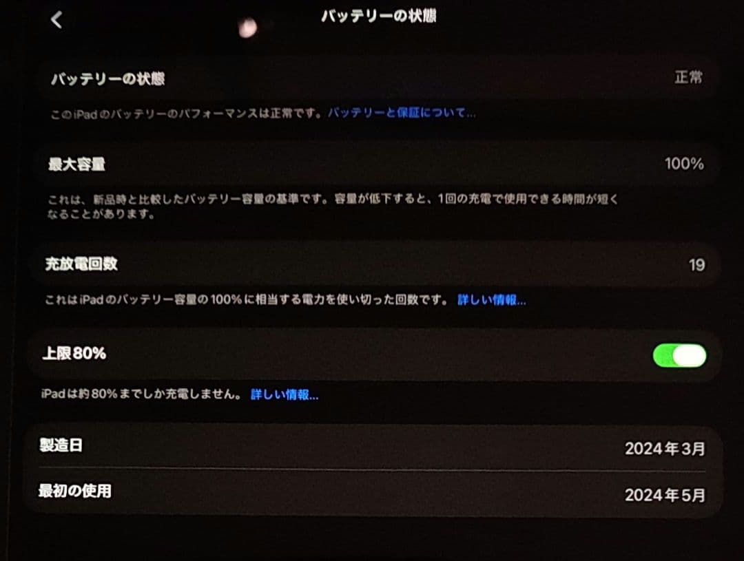 iPad Pro (M4) 256GB Wi-Fi 13インチ