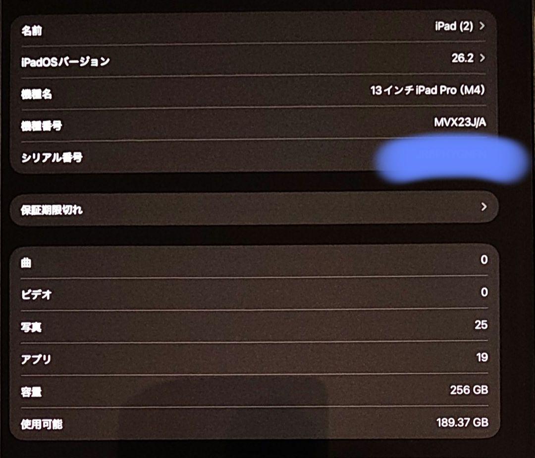 iPad Pro (M4) 256GB Wi-Fi 13インチ