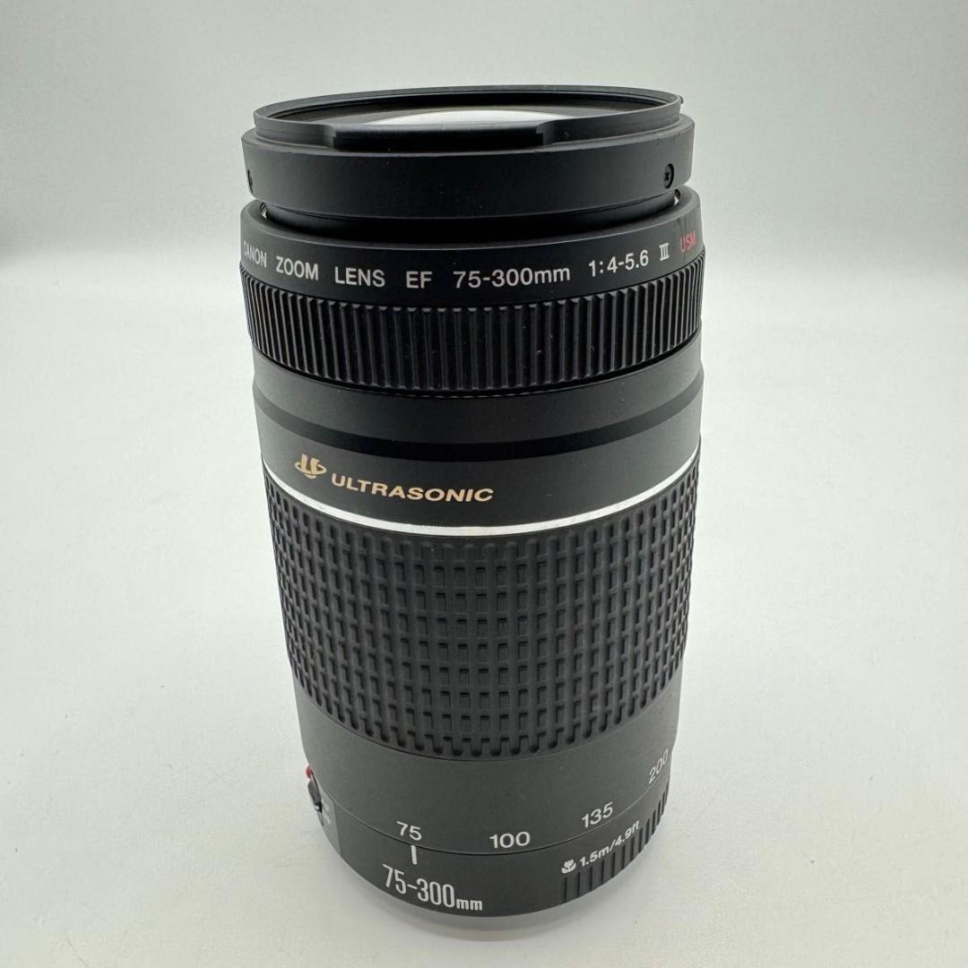 Canon EF 75 300mm 4 5.6 III USM ズームレンズ　②