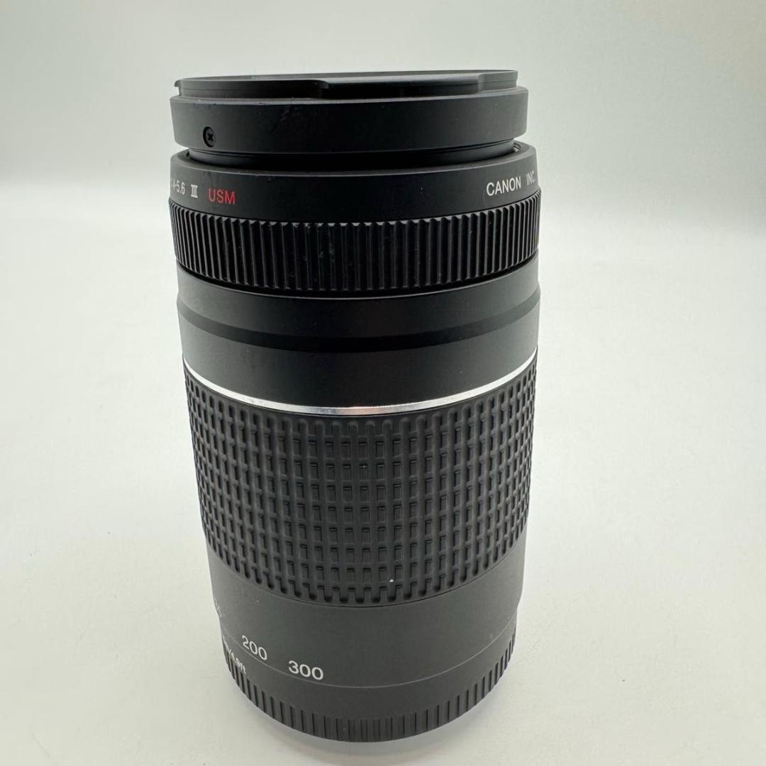 Canon EF 75 300mm 4 5.6 III USM ズームレンズ　②