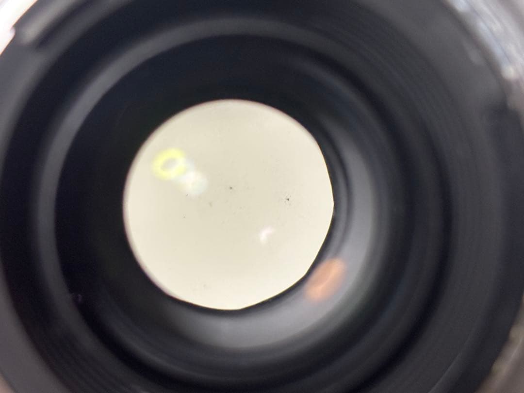 レンズ(ズーム) Nikon AF-S NIKKOR 28-300mm F3.5-5.6G VR