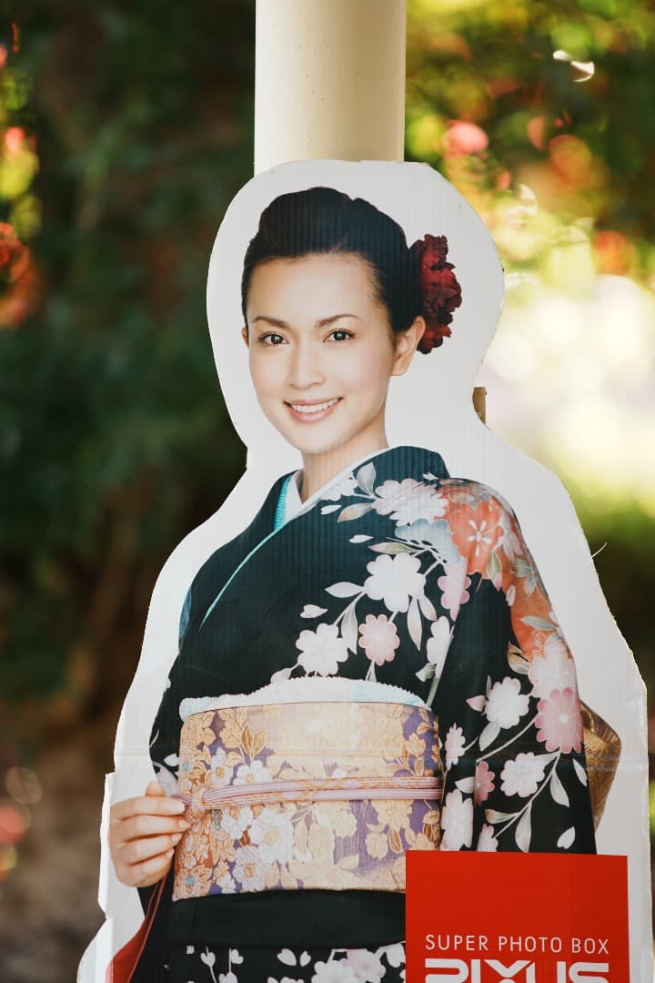 動作OK SONY 70-200mm F2.8G SAL70200G