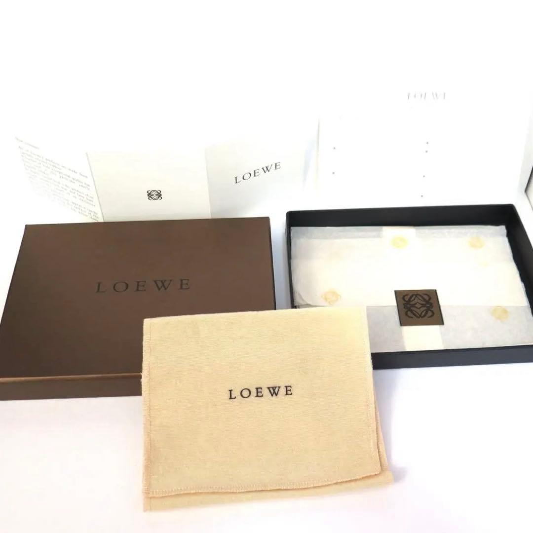 【極美品】ロエベ ケース アナグラム LOEWE