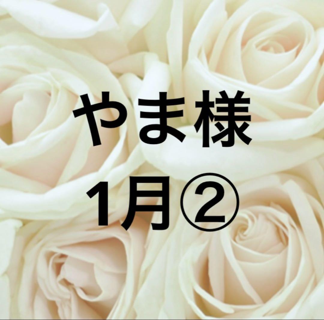 やま様 オルゴナイト1月分②