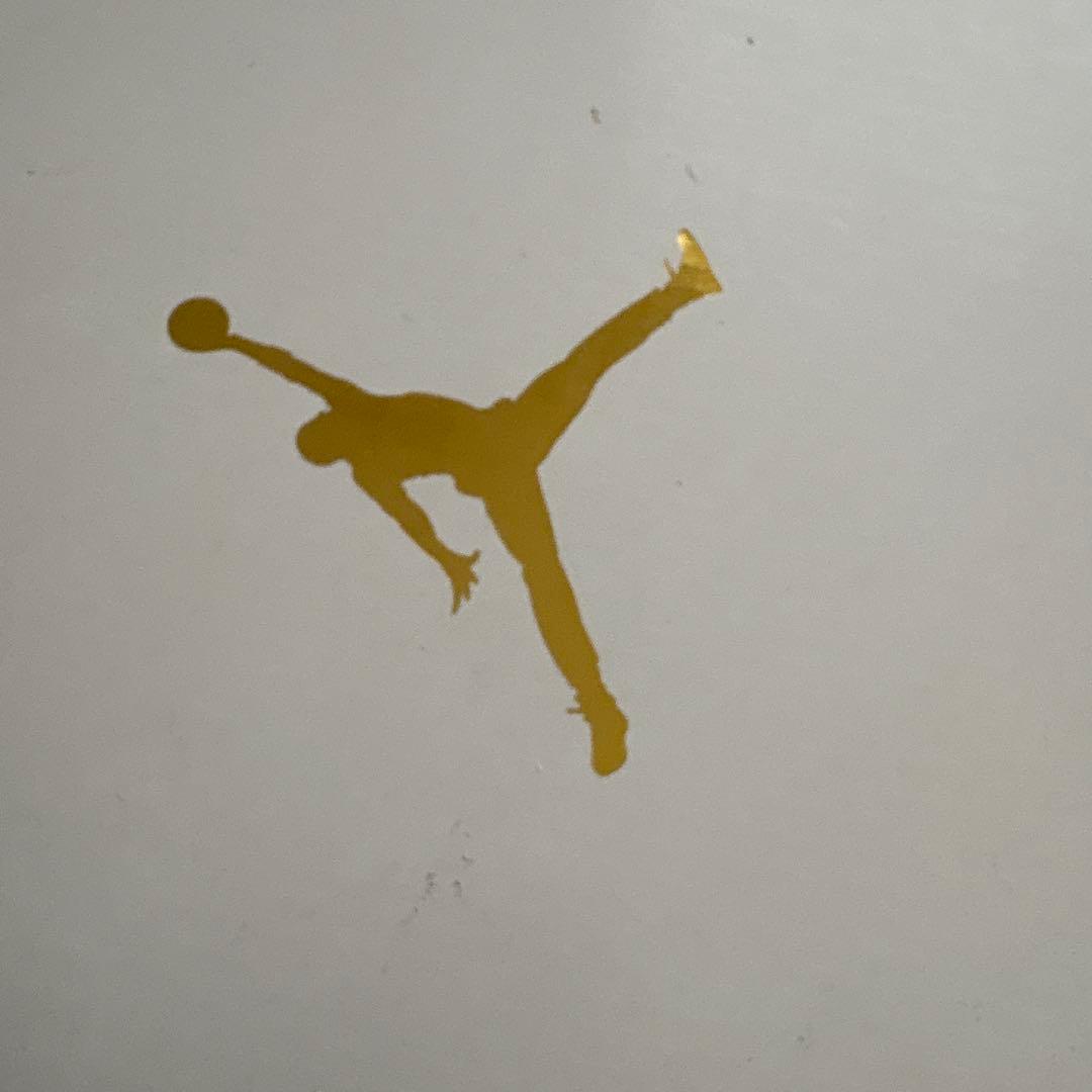 ナイキ エアジョーダン 11 RETRO LOW 28.5