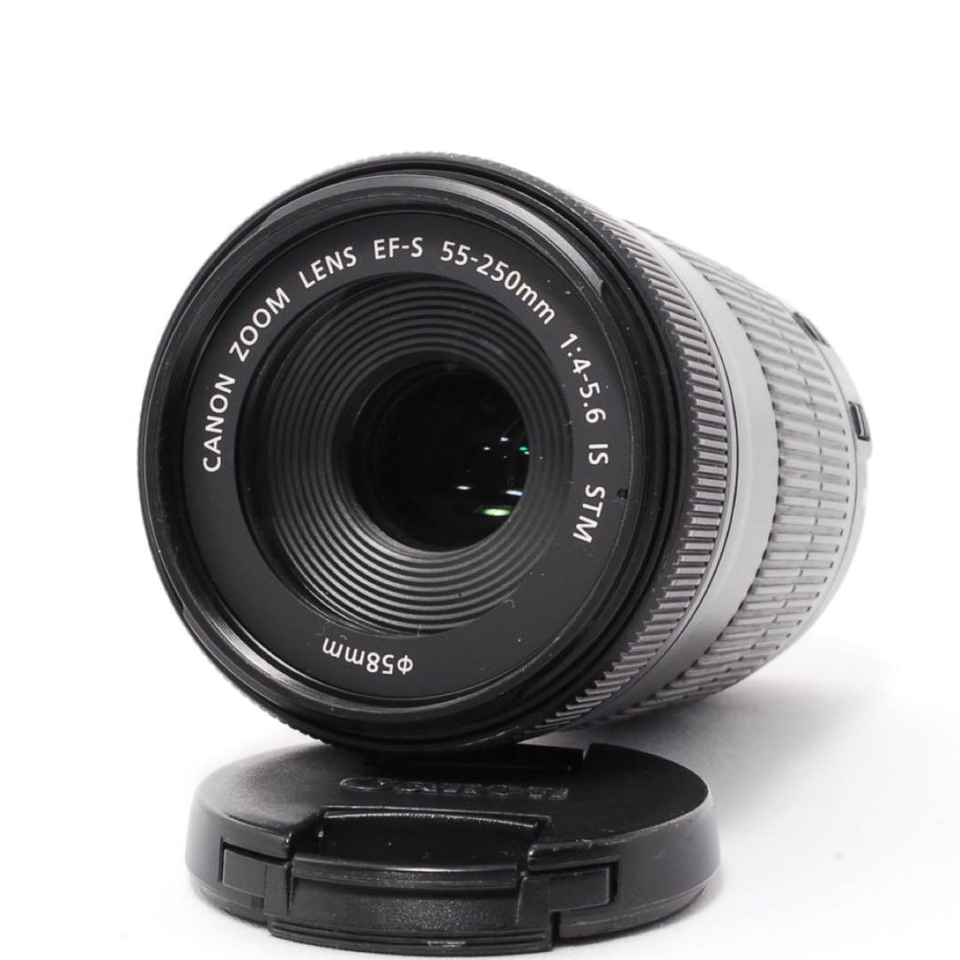 ❤️スポーツ観戦や野鳥撮影に❤️Canon EF-S 55-250mm IS STM