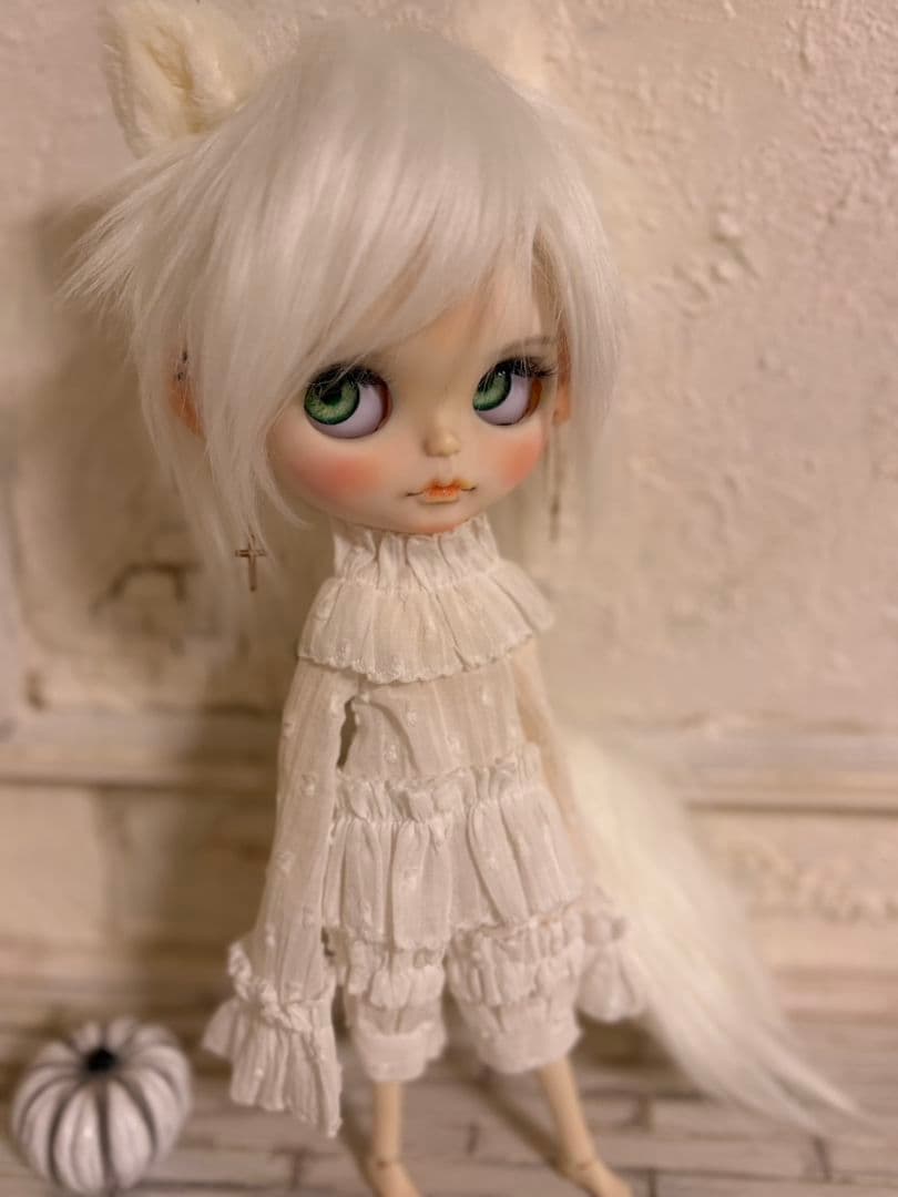 専用ꕤ.。アイシードールꕤ.。2体