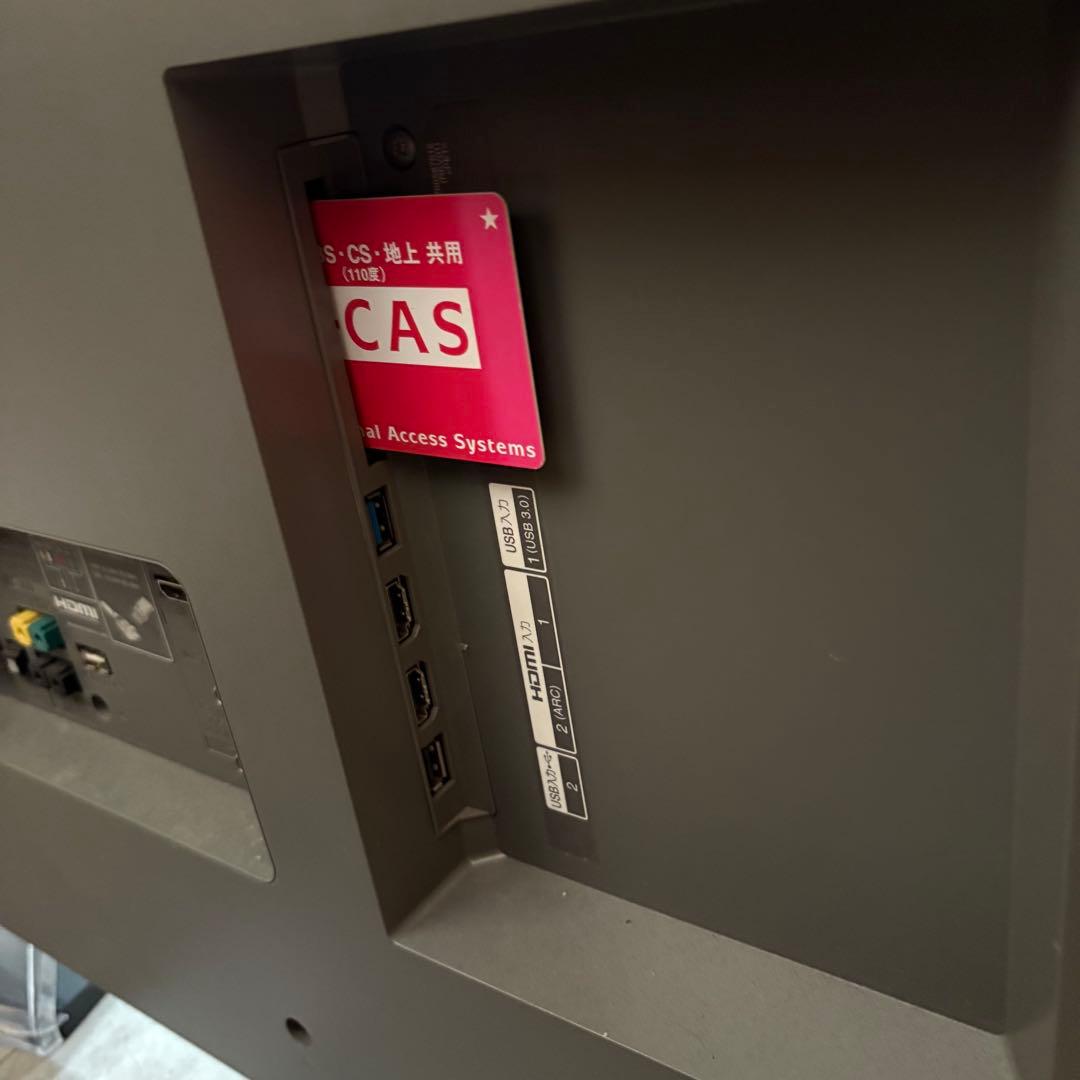 一都三県限定　配送設置無料　4K有機ELテレビ　LG エルジー　65インチ