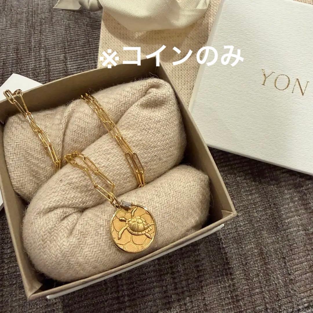 のな⭐︎YON ネイチャー　アオウミガメ