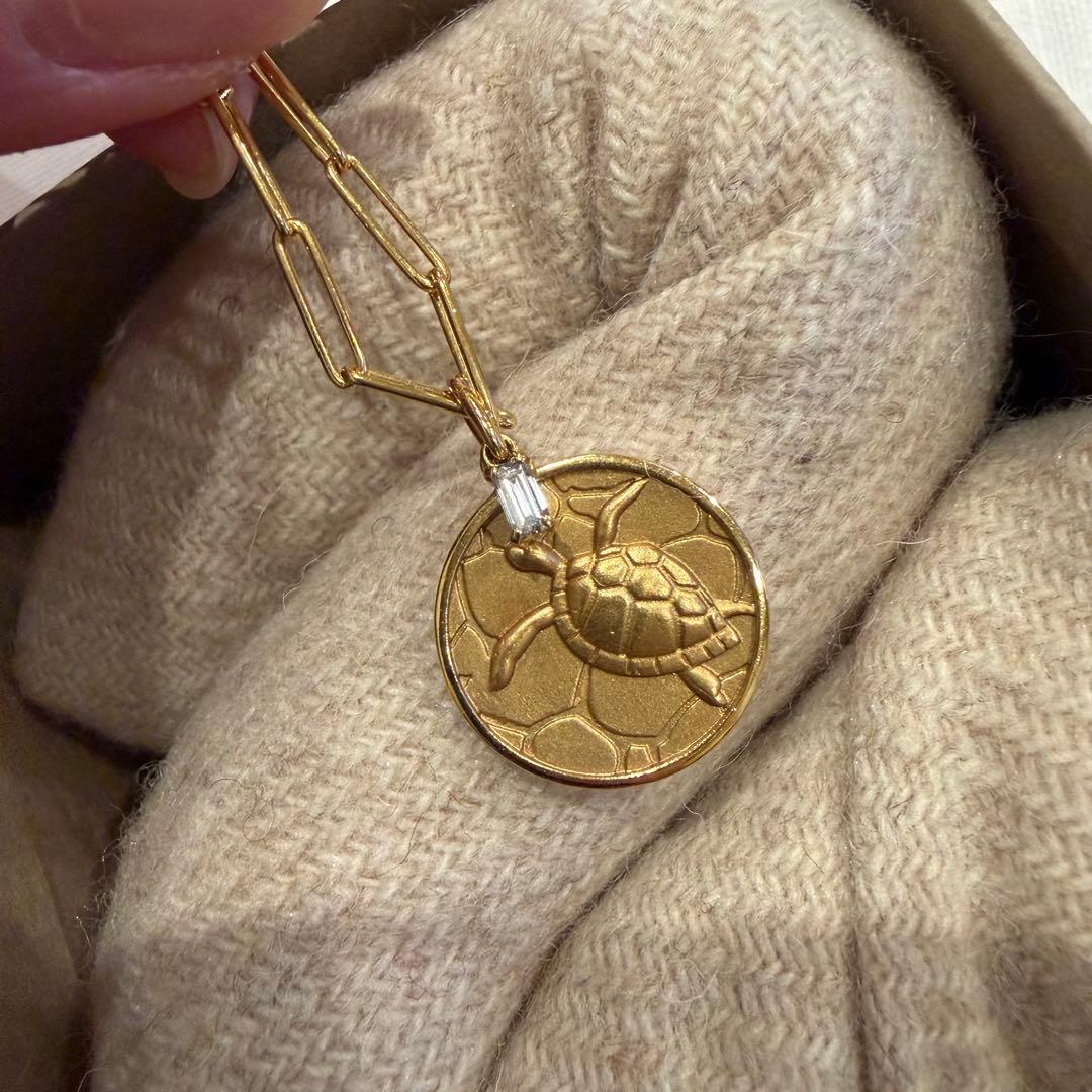 のな⭐︎YON ネイチャー　アオウミガメ