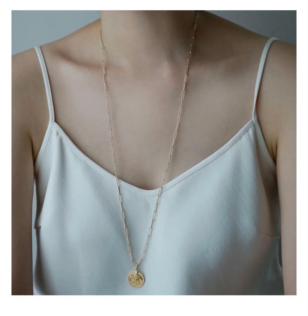 のな⭐︎YON ネイチャー　アオウミガメ