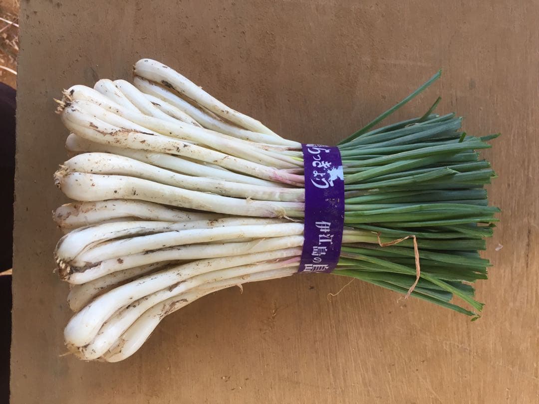 伊江島産　島らっきょう5キロ専用です！