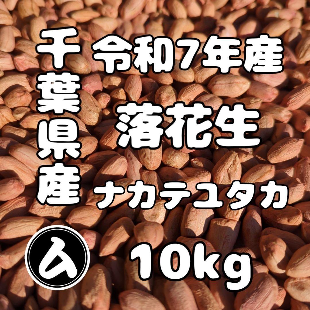 千葉県産 県内発送 ナカテユタカ 10kg 手むき 乾燥生落花生