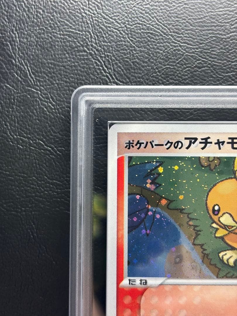 【ARS9】ポケパークのアチャモ 002/009