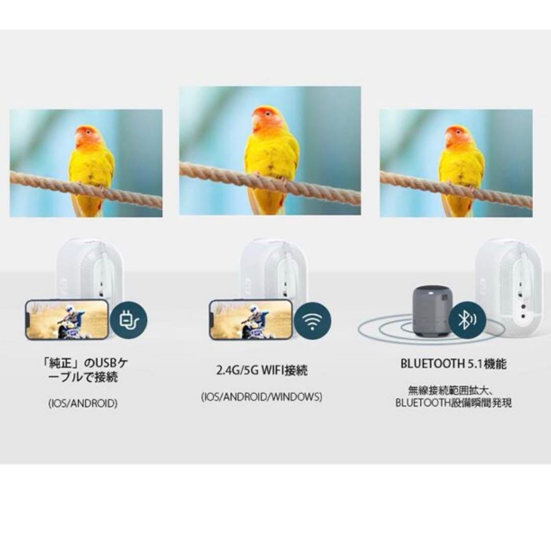 【新品】【未使用】ETOE D1 EVO プロジェクター本体