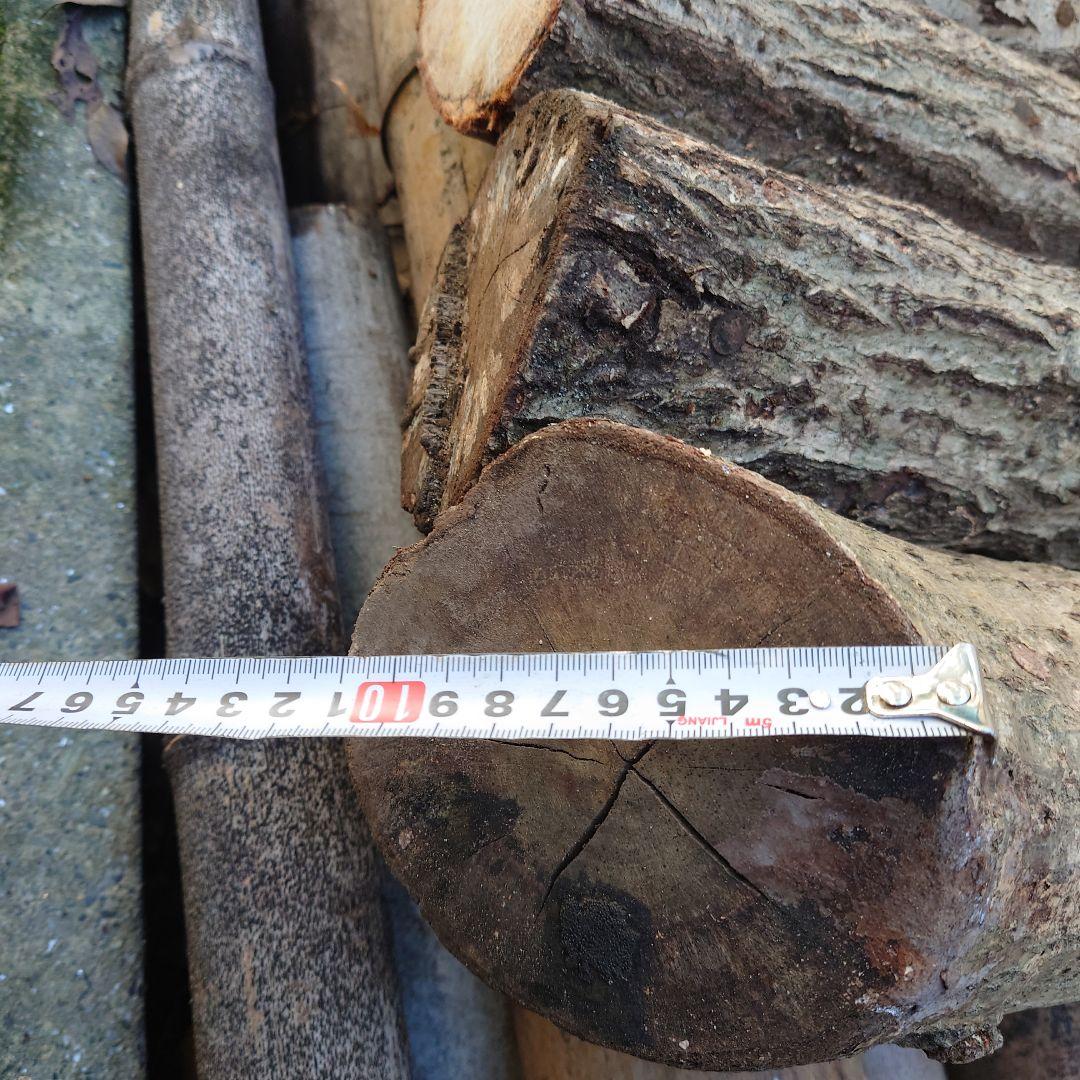 原木栽培　原木椎茸栽培キッド　No.10 大5本