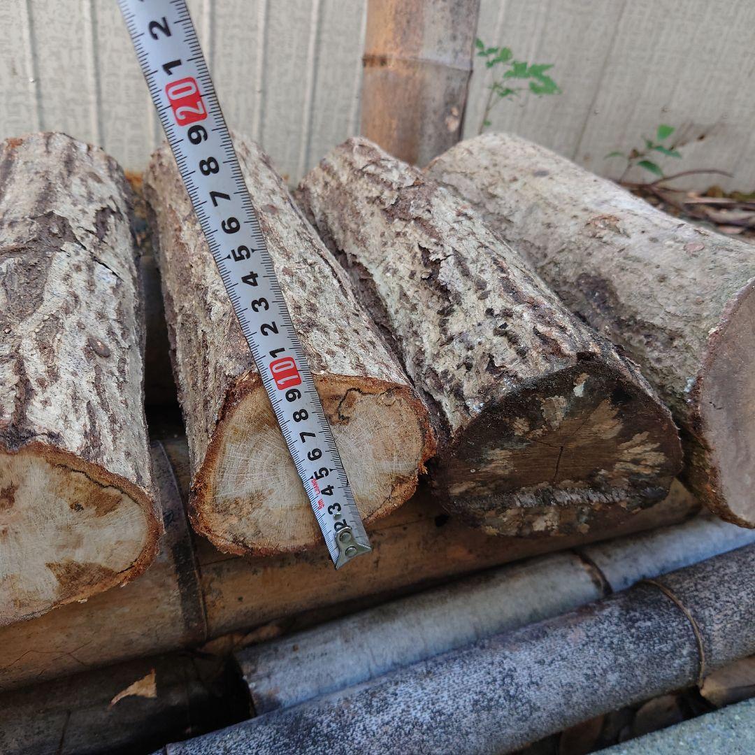 原木栽培　原木椎茸栽培キッド　No.10 大5本