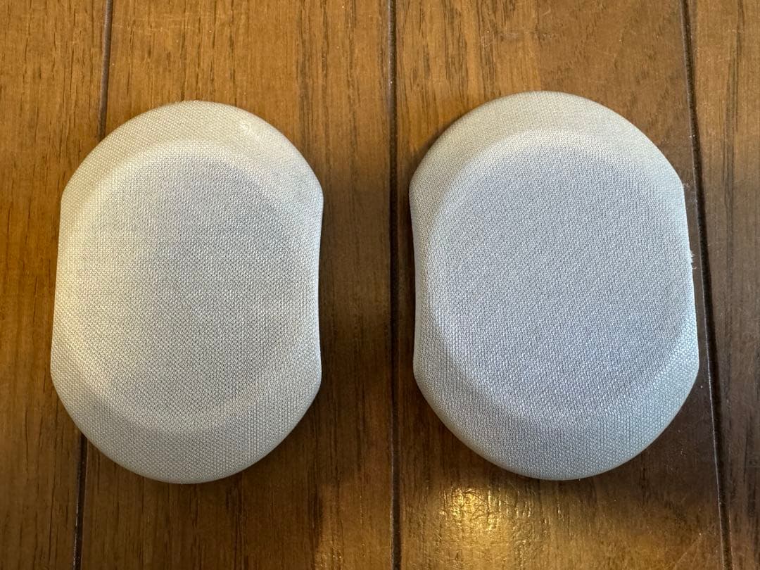 BauXar Marty101 ボザール タイムドメイン スピーカー アンプ内蔵