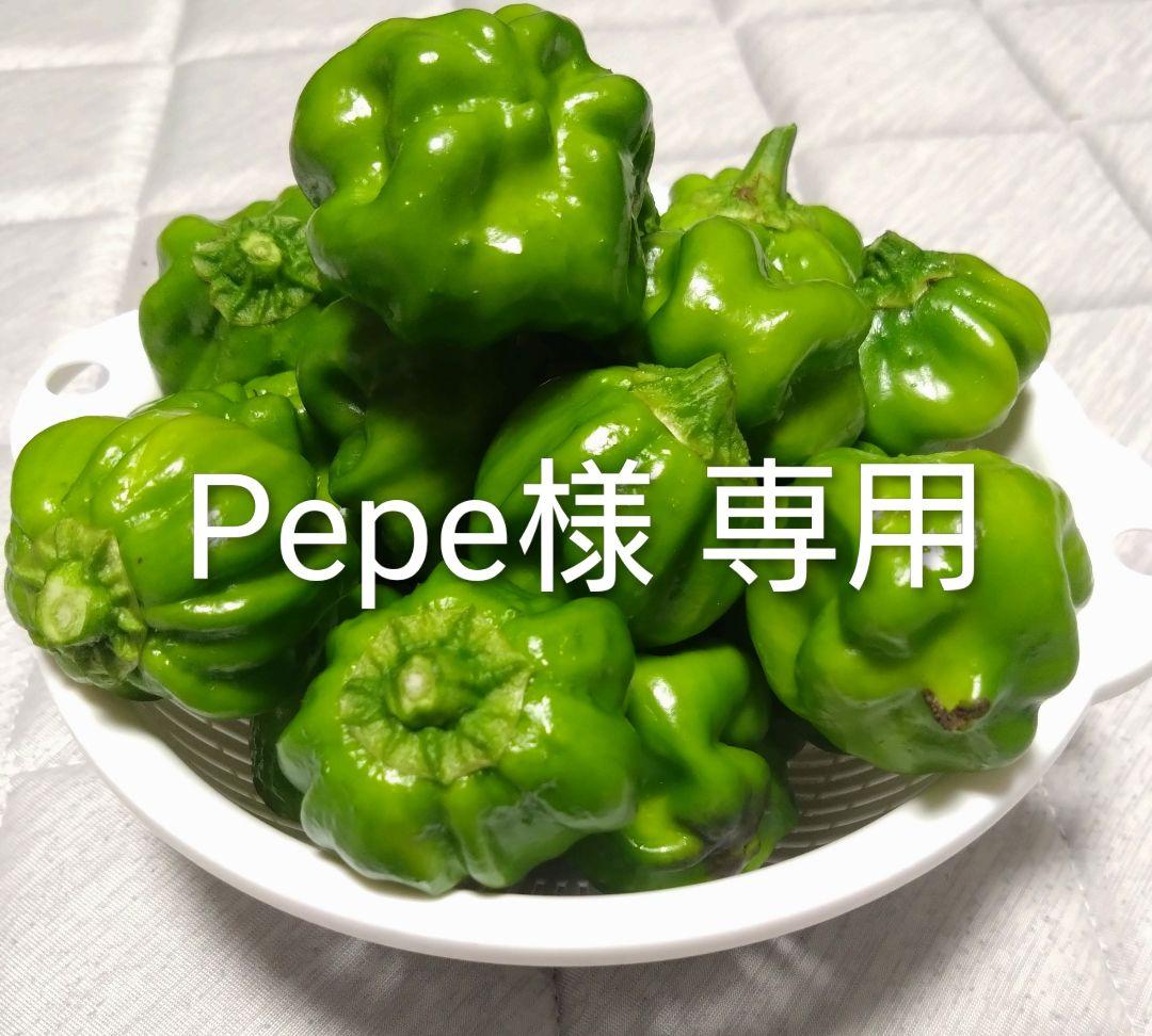 かぐらなんばん