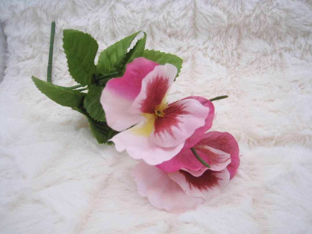 動作良好✨ Canon IXY 910 IS 付属品多数