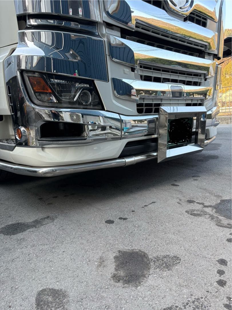 大型　ナンバー枠　17プロフィア