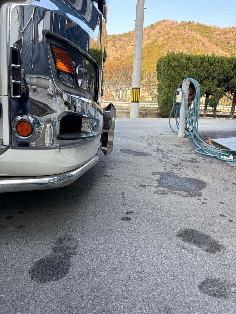 大型　ナンバー枠　17プロフィア