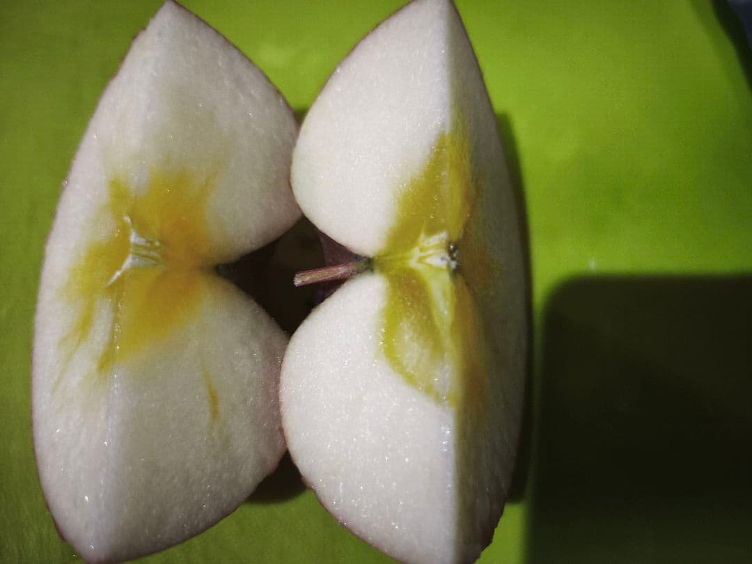 糖度21%　贈答用クラス10キロ　信州高山村産フジ