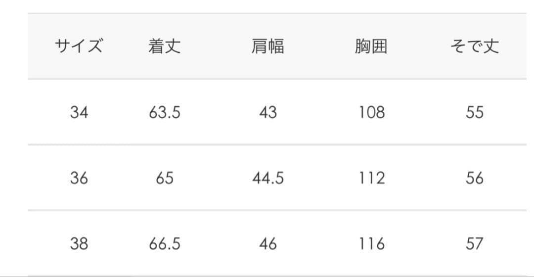 ⭐︎ふくろう　DANTON ギンガムチェック 長袖シャツ