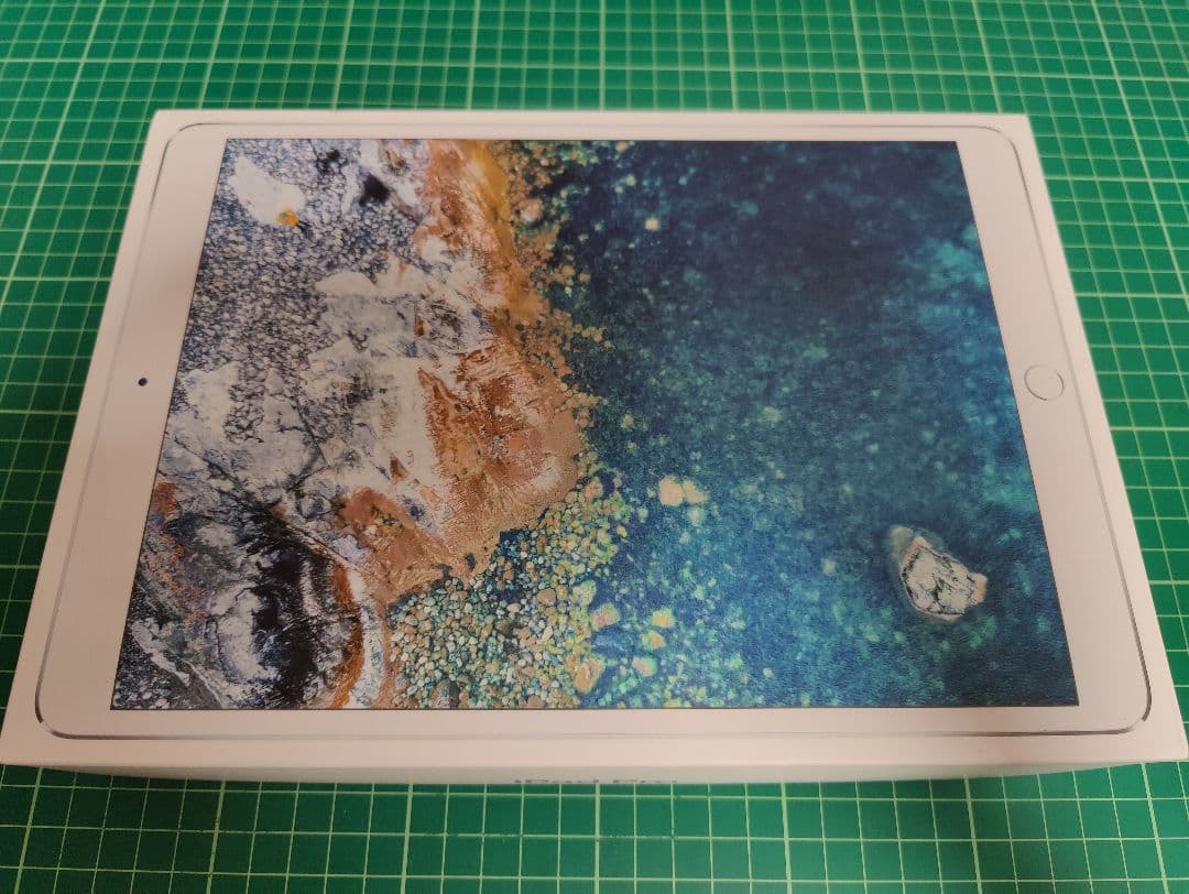 【Shin様】Apple iPad Pro 64GB シルバー WiFiモデル