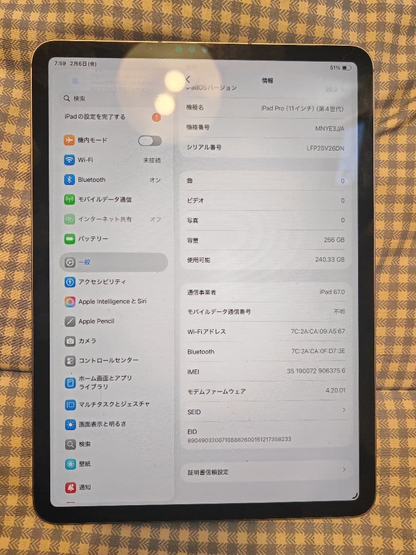 iPad Pro (11インチ) 第4世代 256GB cellular