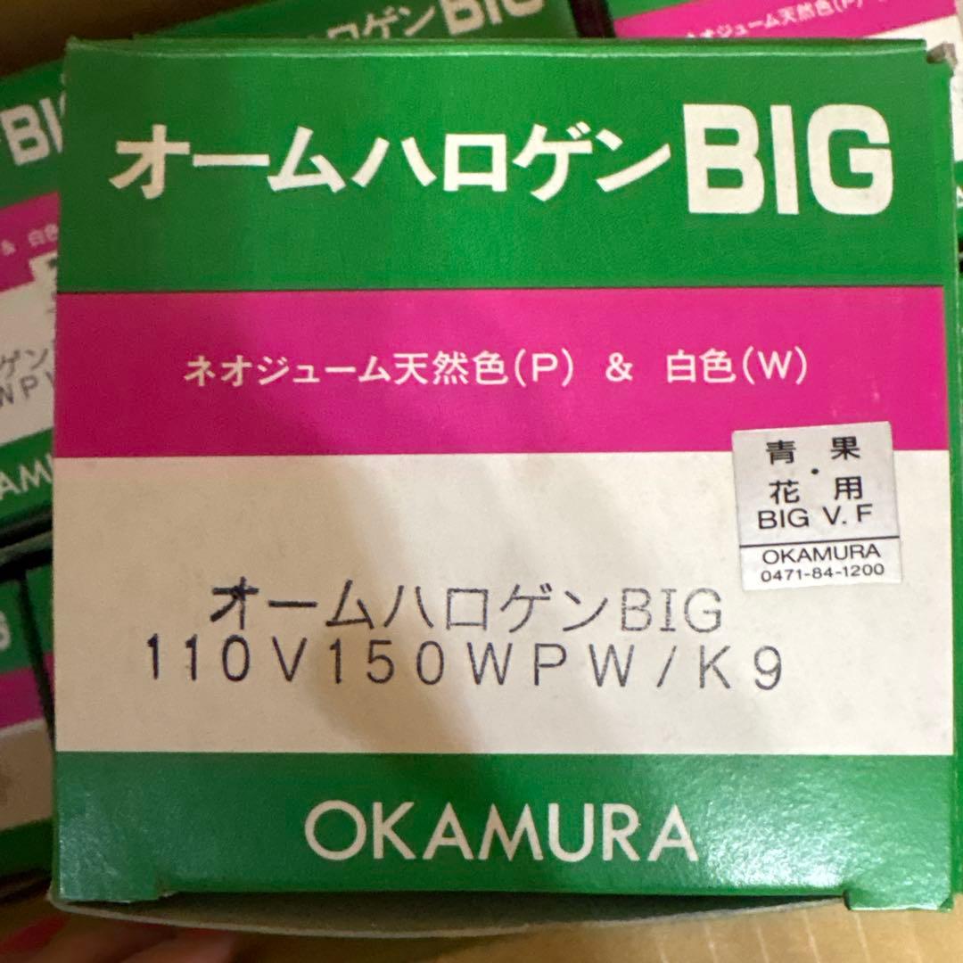 よし オームハロゲンBIG 150W 110V