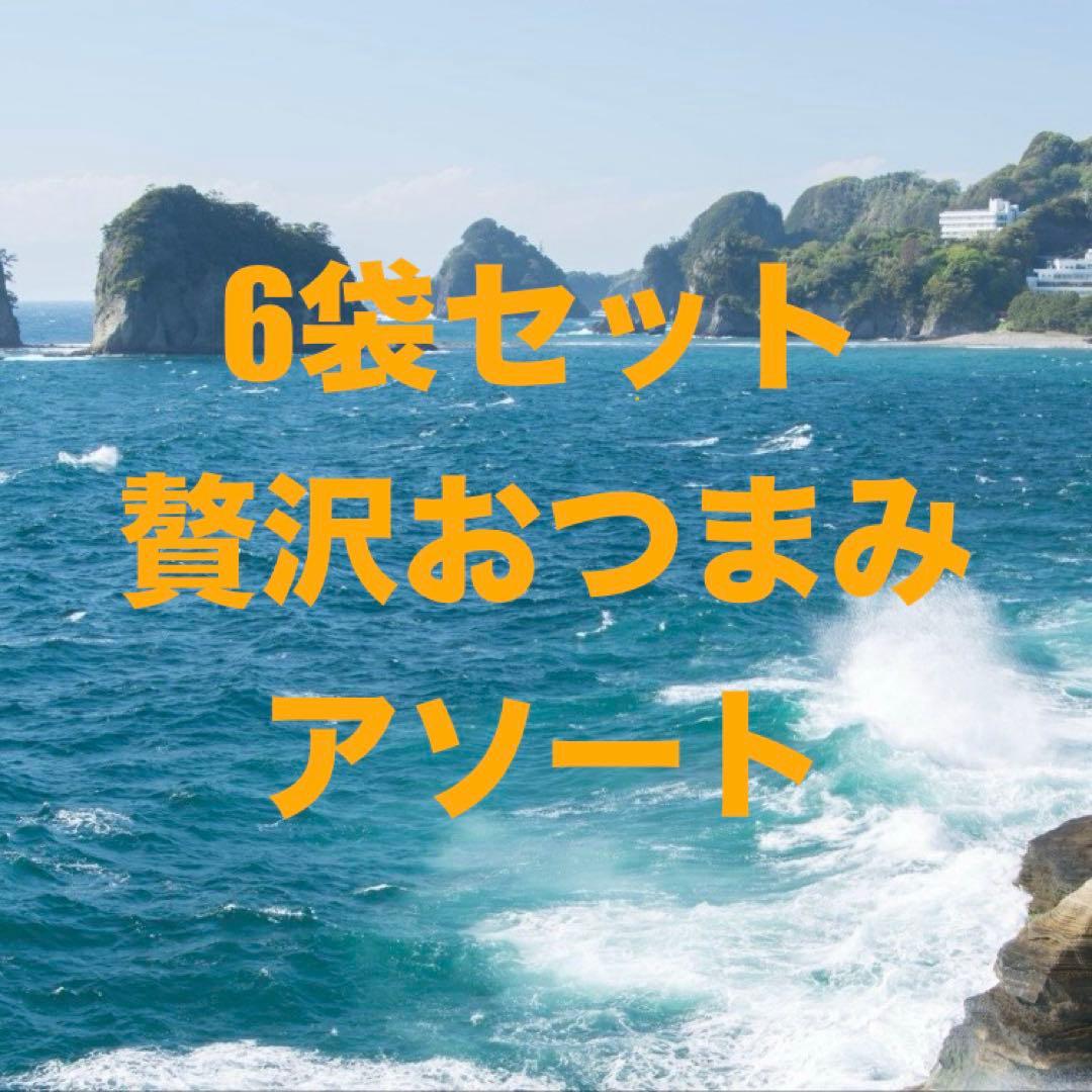 6袋セット 珍味贅沢おつまみアソート5種パック③