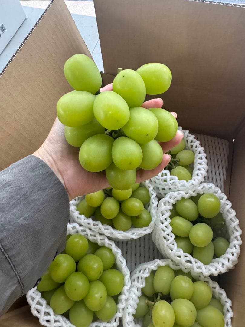 福島の桃　シーエックス