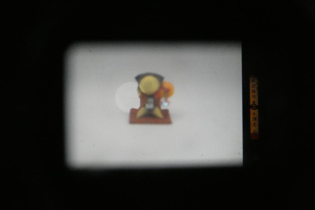 Canon New F-1 AEファインダー 35mmフィルム 一眼レフカメラ