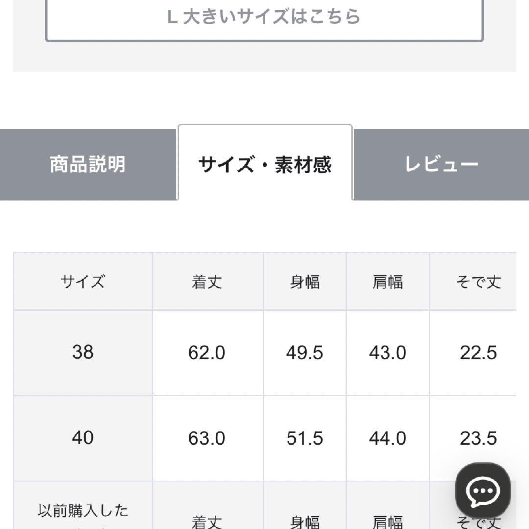 23区　オーガンジービスチェコンビカットソー