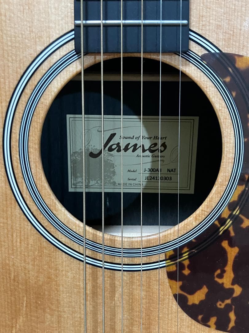 【かずちゃん07】James J-300AⅡ NAT