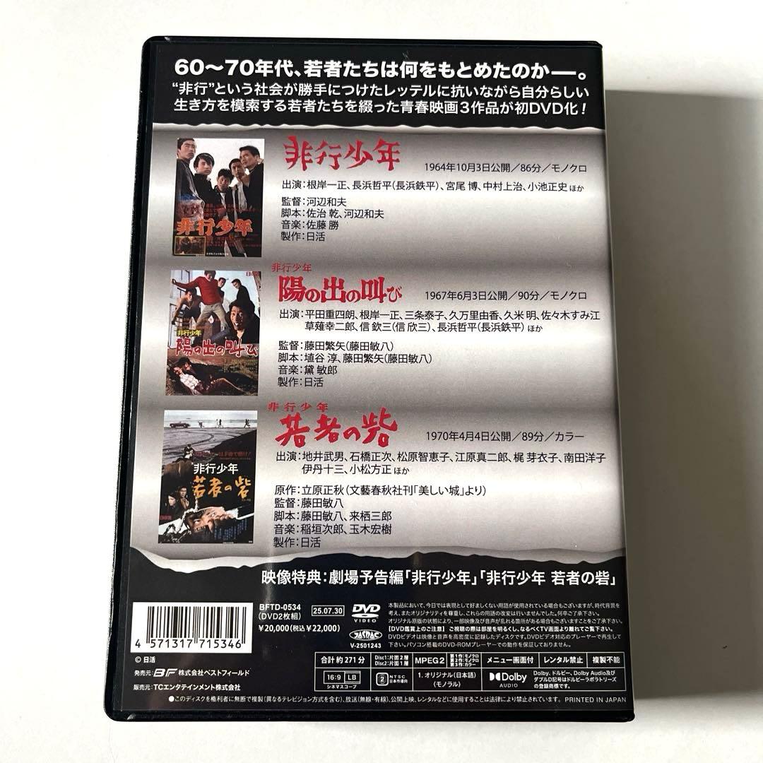 昭和の名作ライブラリー 第161集 劇映画 非行少年シリーズ〈2枚組〉