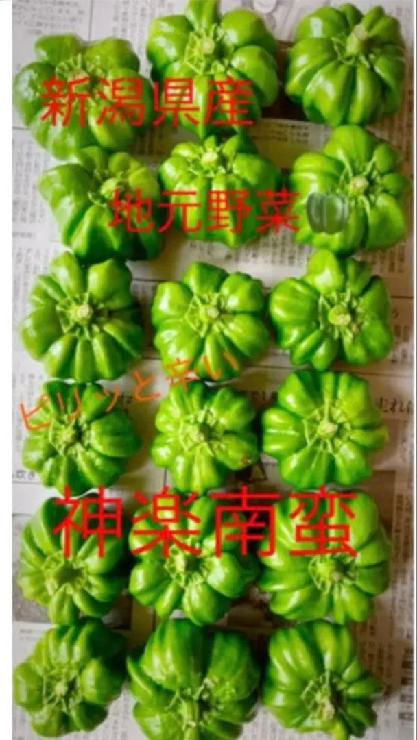 光さま専用です