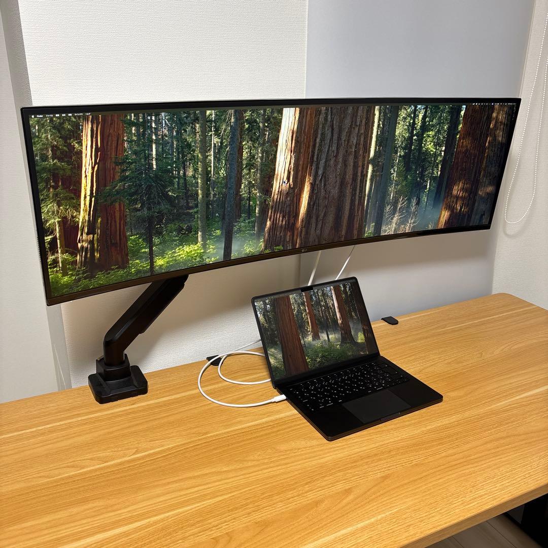 【最終値下】LG 49インチ ウルトラワイドモニター 49WQ95C-W